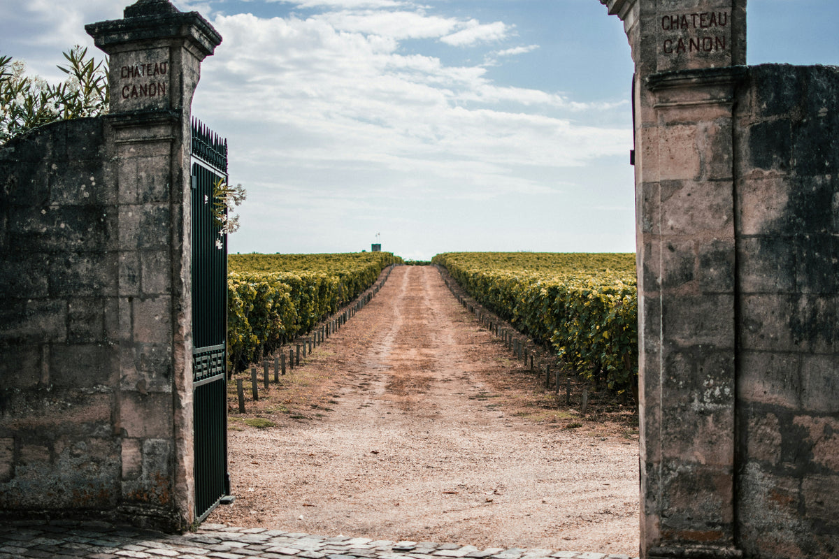 Bordeaux Wine Crisis: Falling Sales, Better Wines