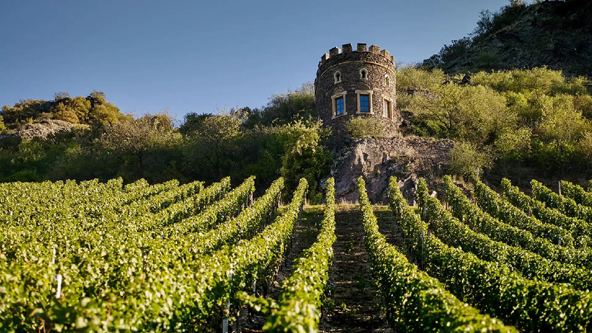 Dönnhoff vineyard with medieval stone tower on a hillside, surrounded by lush vines and forest under clear blue sky.